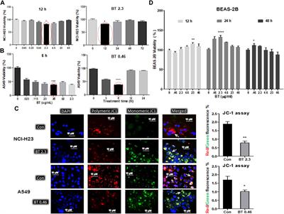 Black tea bioactive <mark class="highlighted">phytoconstituents</mark> realign NRF2 for anticancer activity in lung adenocarcinoma